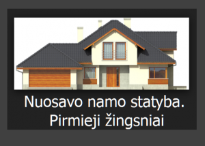 namo statyba