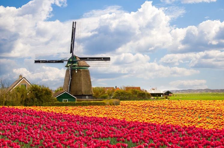 Naudingi patarimai keliaujantiems į Olandiją atostogauti